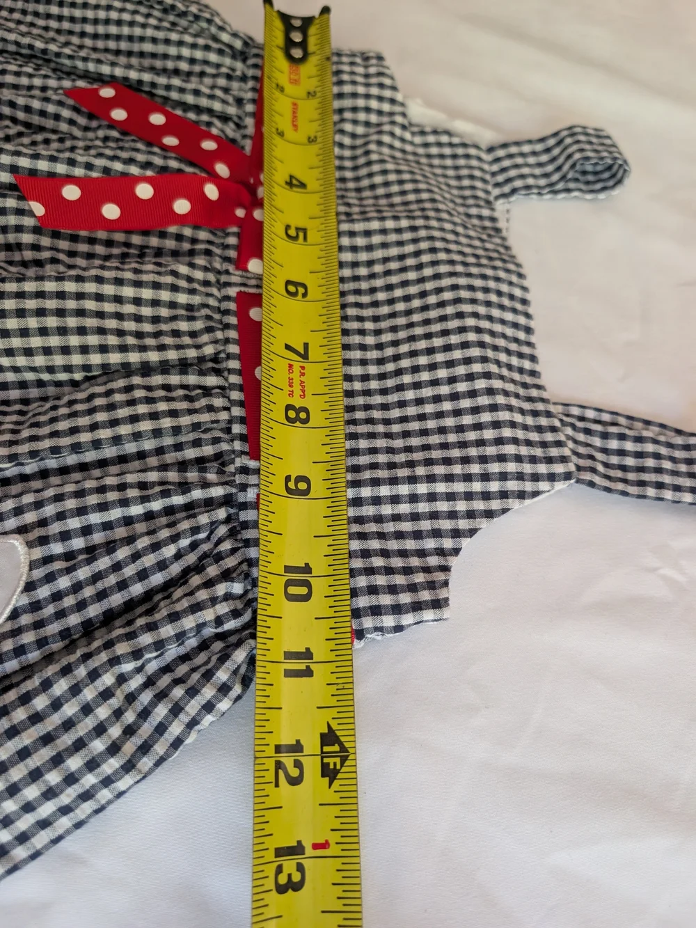 Rare Editions Black Gingham Dress with Red Accents 2t